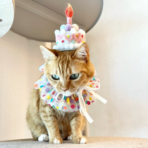 Party hat